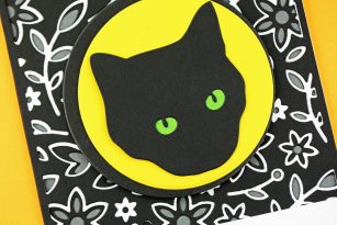 Halloween Cat | By Jeanne Jachna