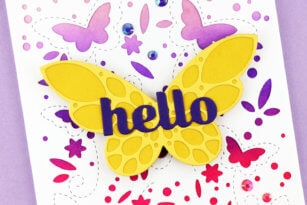 Butterfly Hello By Jeanne Jachna