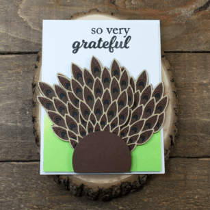 Turkey with Gratitude | by Tracey McNeely