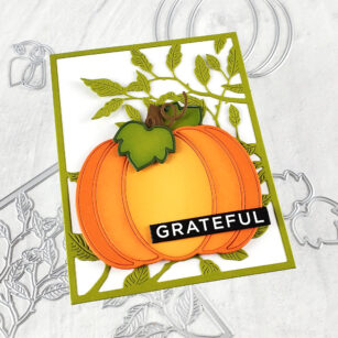 Fall Gratitude | By Seeka