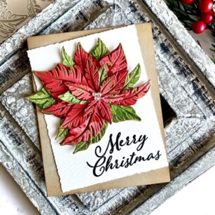 Merry Christmas Poinsettia | By Sandhya Iyer